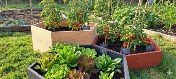 Bac Potager Hexaterra en Kit