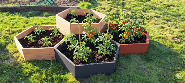 Bac Potager Hexaterra en Kit