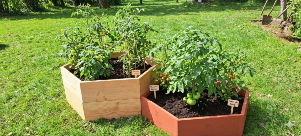 Bac Potager Hexaterra en Kit