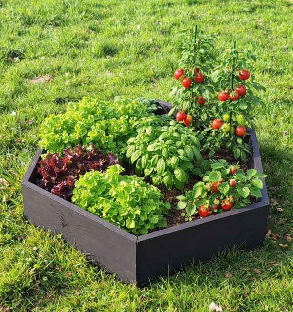 Bac Potager Hexaterra en Kit