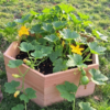 Bac Potager Hexaterra en Kit