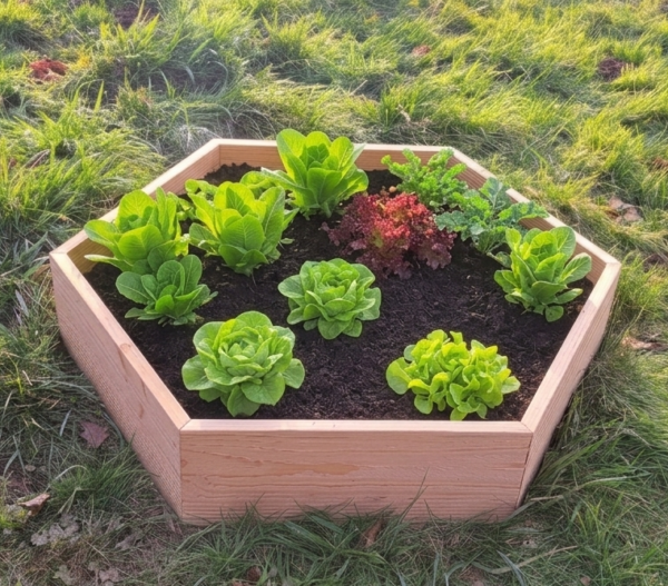 Bac Potager Hexaterra en Kit